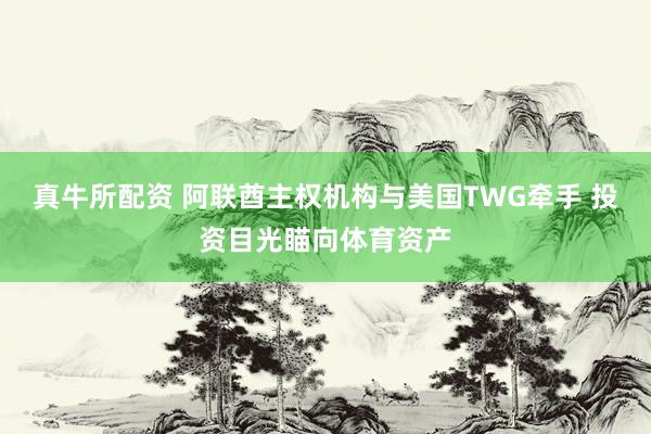 真牛所配资 阿联酋主权机构与美国TWG牵手 投资目光瞄向体育资产