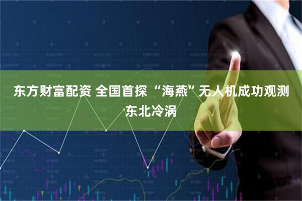 东方财富配资 全国首探 “海燕”无人机成功观测东北冷涡