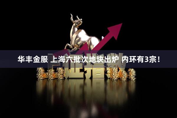 华丰金服 上海六批次地块出炉 内环有3宗！