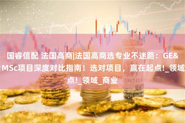 国睿信配 法国高商|法国高商选专业不迷路：GE&MSc项目深度对比指南！选对项目，赢在起点!_领域_商业