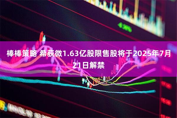 棒棒策略 希荻微1.63亿股限售股将于2025年7月21日解禁