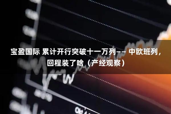 宝盈国际 累计开行突破十一万列—— 中欧班列，回程装了啥（产经观察）