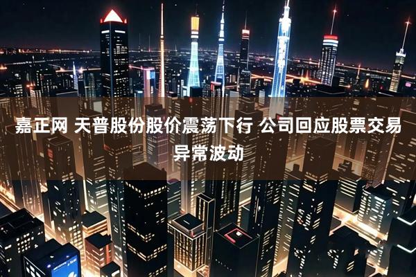嘉正网 天普股份股价震荡下行 公司回应股票交易异常波动
