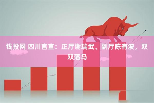 钱投网 四川官宣：正厅谢瑞武、副厅陈有波，双双落马